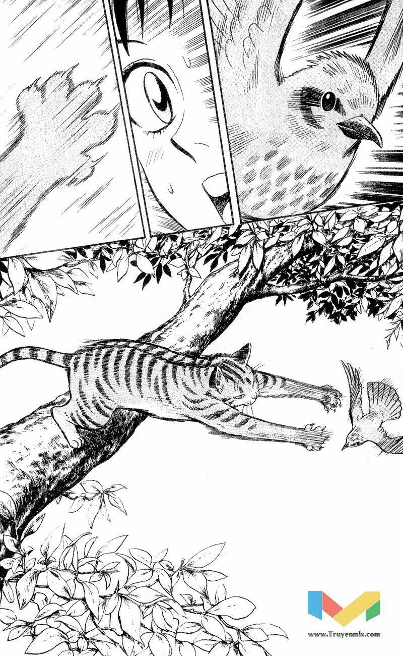 animal sense chapter 1 17