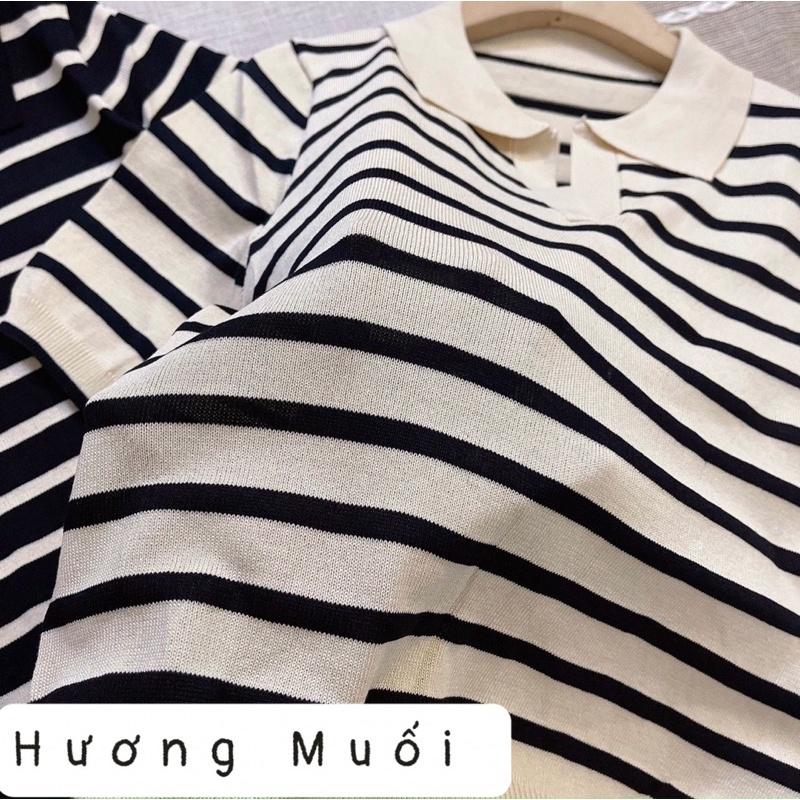 Áo len mongtoghi kẻ sọc ngang cổ bẻ