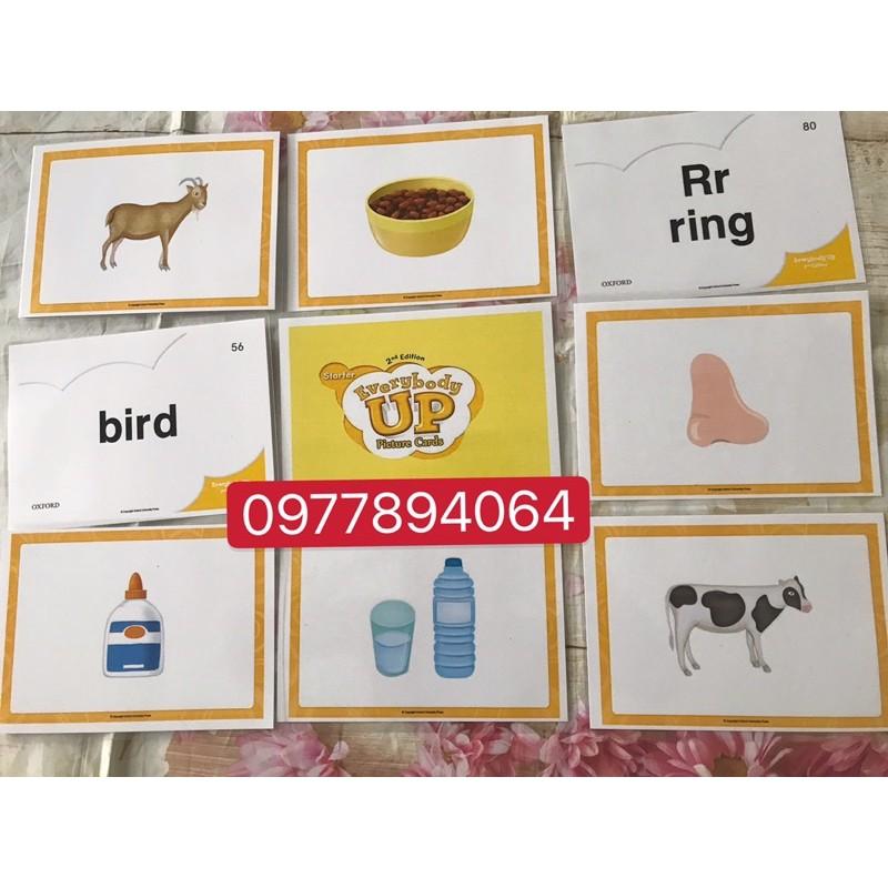 Thẻ Flashcards Tiếng Anh Everybody up stater ép plastics bền đẹp