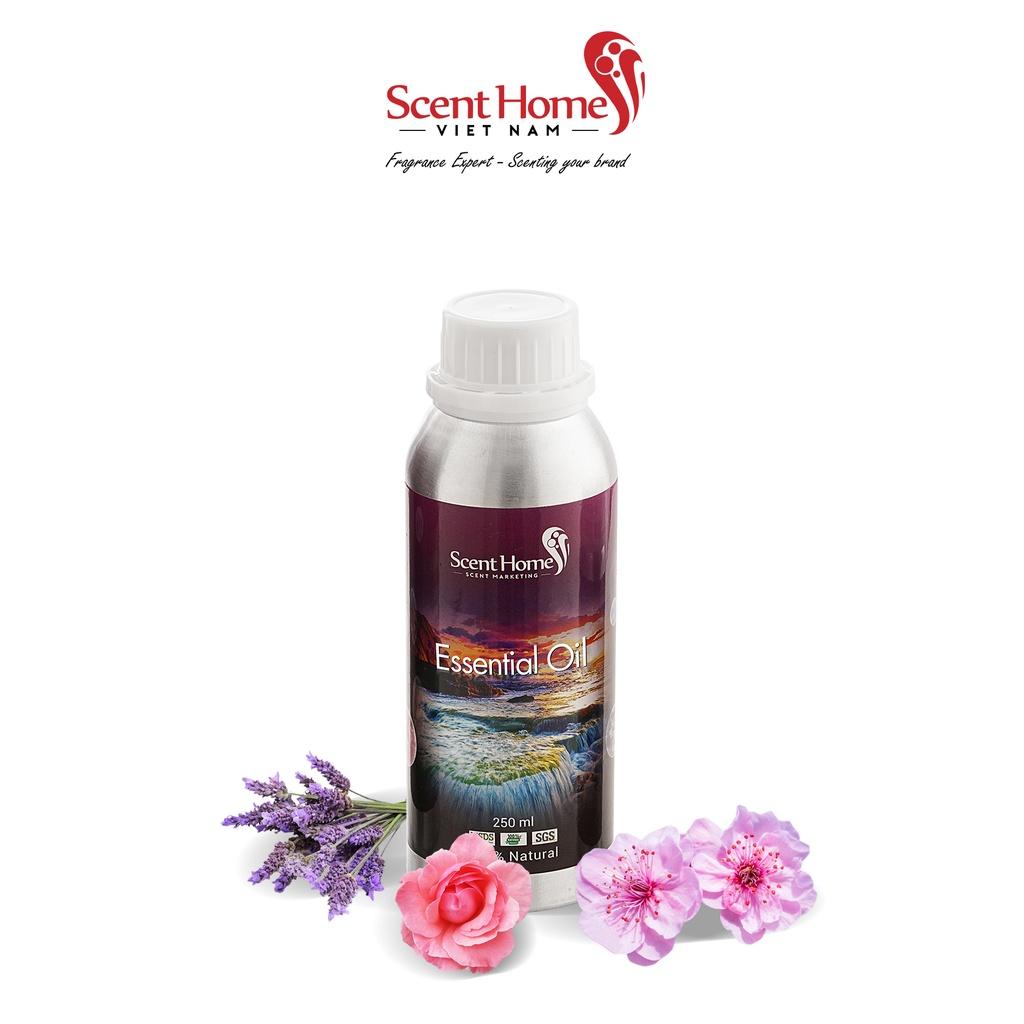 Tinh dầu Scent Homes - mùi hương