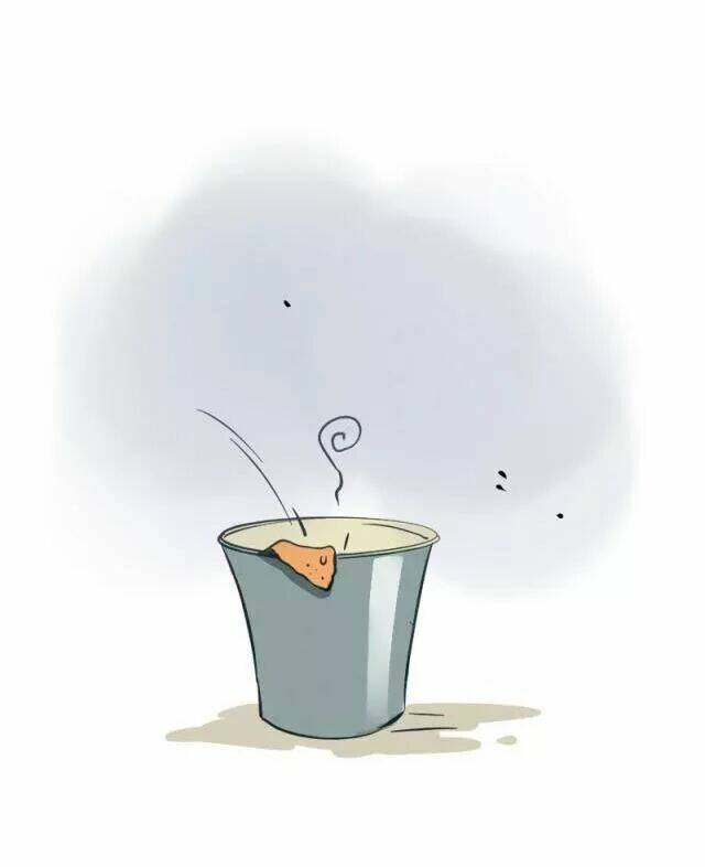 mau mang anh trai tôi đi chapter 79 11