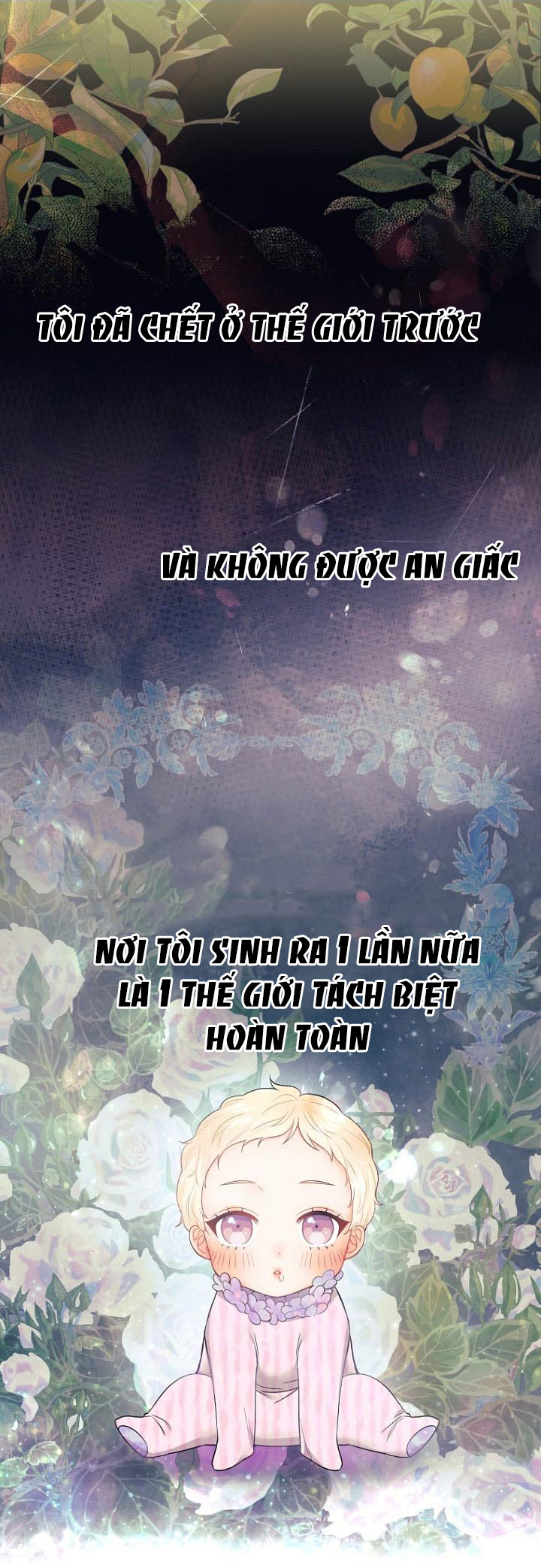 xin đừng trao tấm lòng vào cuốn sách ấy chapter 1 18