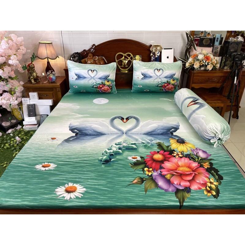 Drap thun hàn quốc