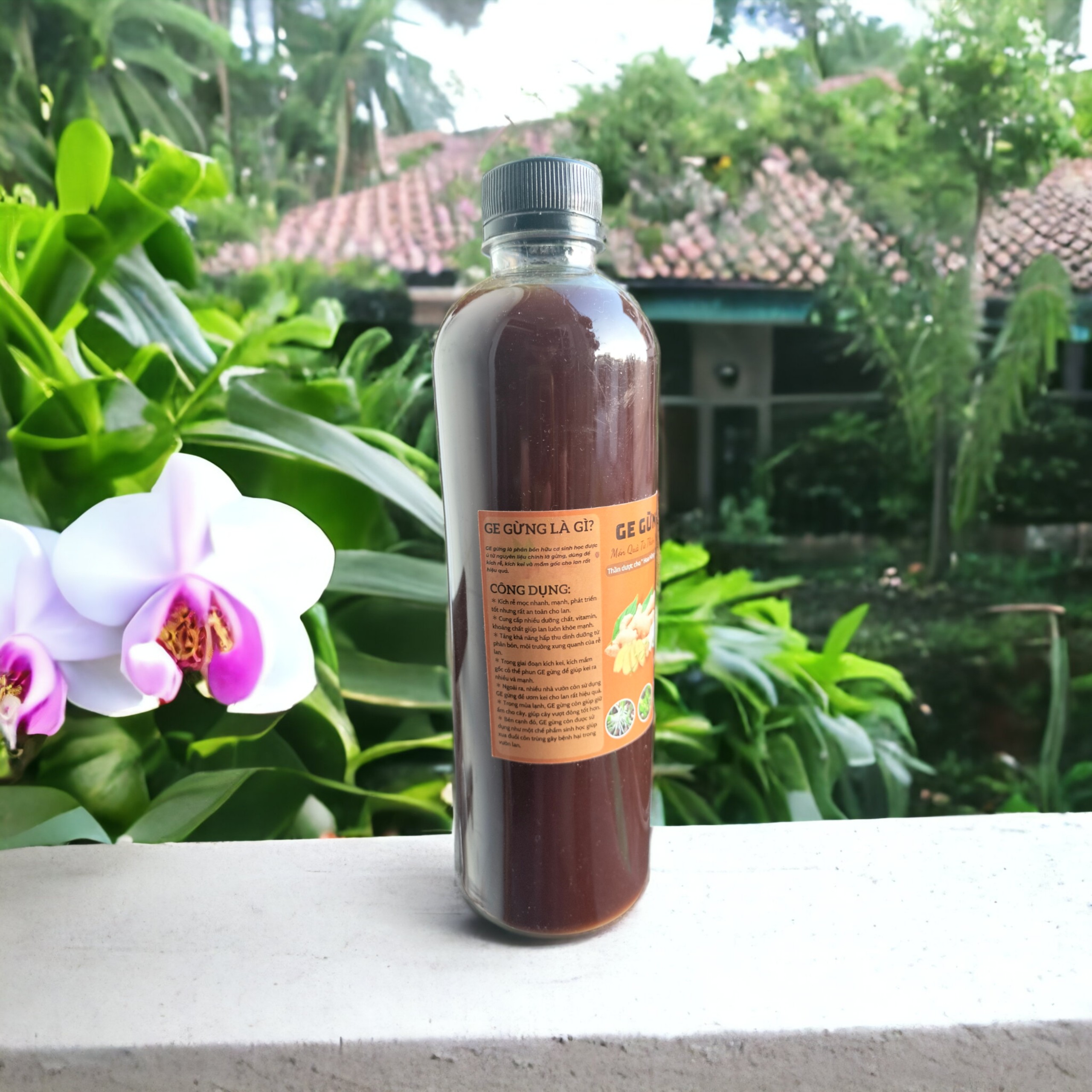 GE Gừng - chai 500ml - Phân bón hữu cơ, kích kie, kích mầm, kích rễ.
