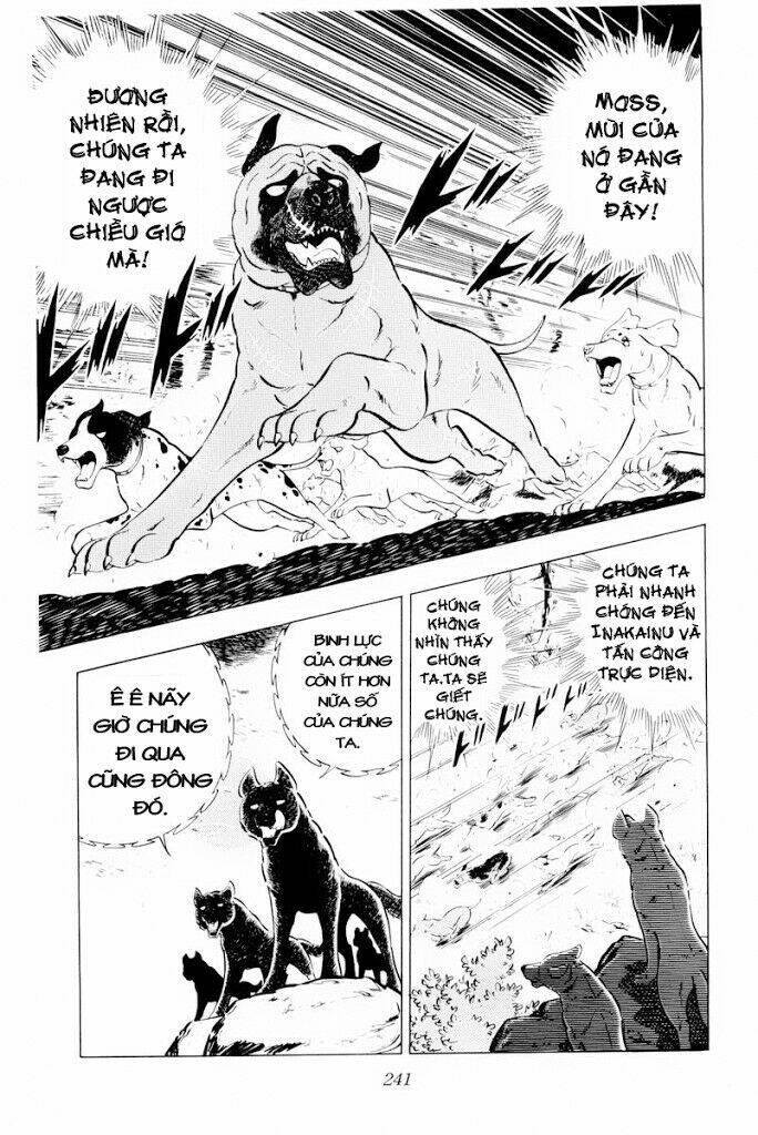 chú chó có nghĩa - ginga nagareboshi gin chapter 29.2 28