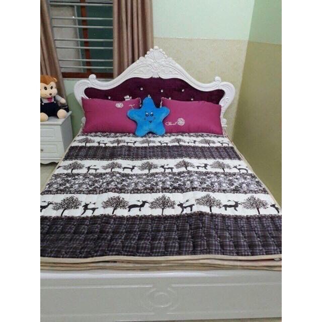 Thảm Trải Giường Siêu Ấm Nhiều Họa Tiết