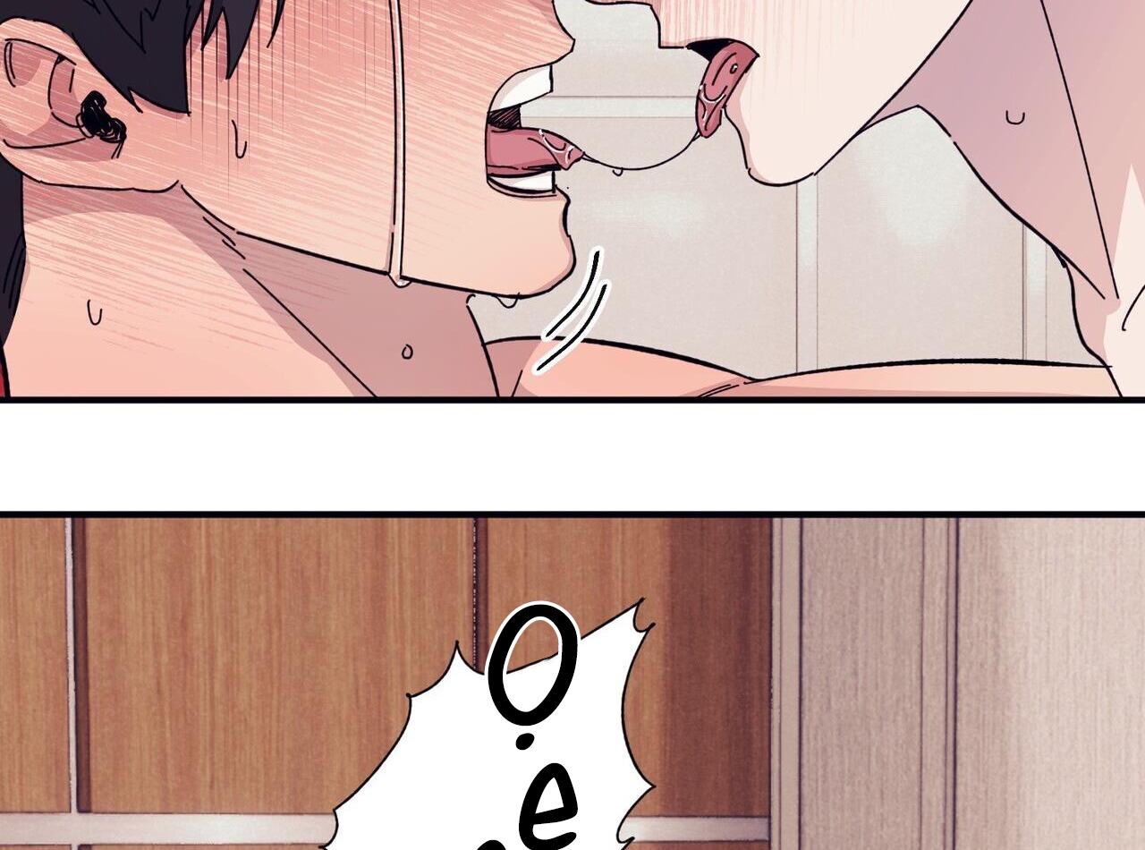 chàng dâu nhà họ kang chapter 44 85