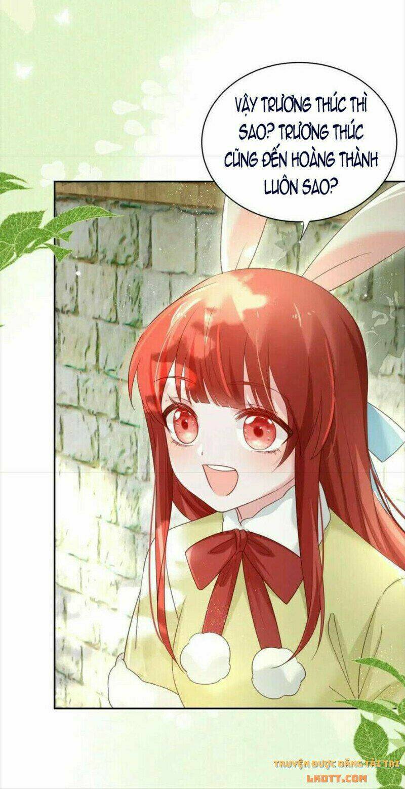 hắc hóa nam chính trực tuyến nuôi thỏ chapter 58 8