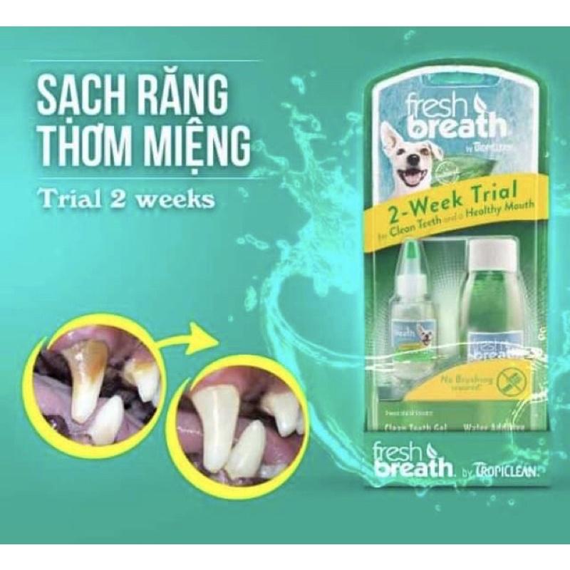 Combo vệ sinh răng miệng cho chó TROPICLEAN, KIT VỆ SINH RĂNG MIỆNG CHO CHÓ Tropiclean Fresh breath 2-week trial.