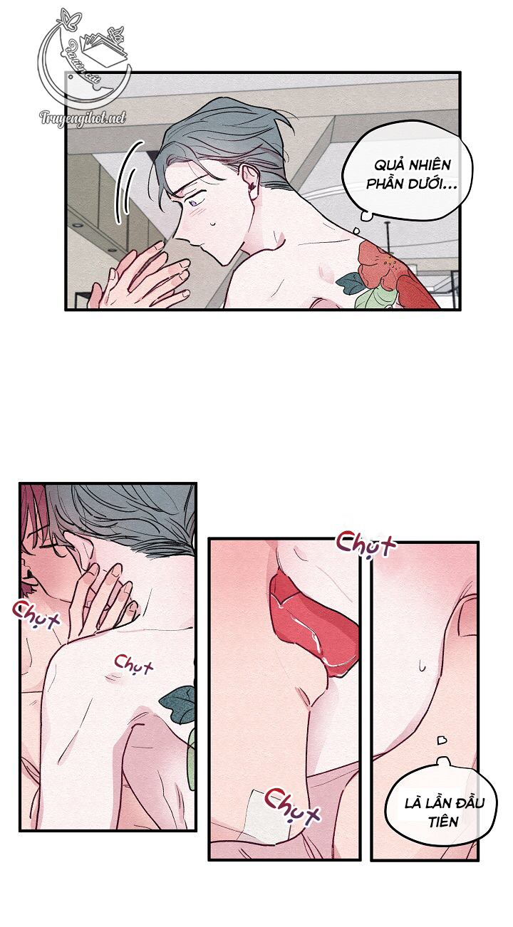 [bl19+] hoa không nở chapter 5 4