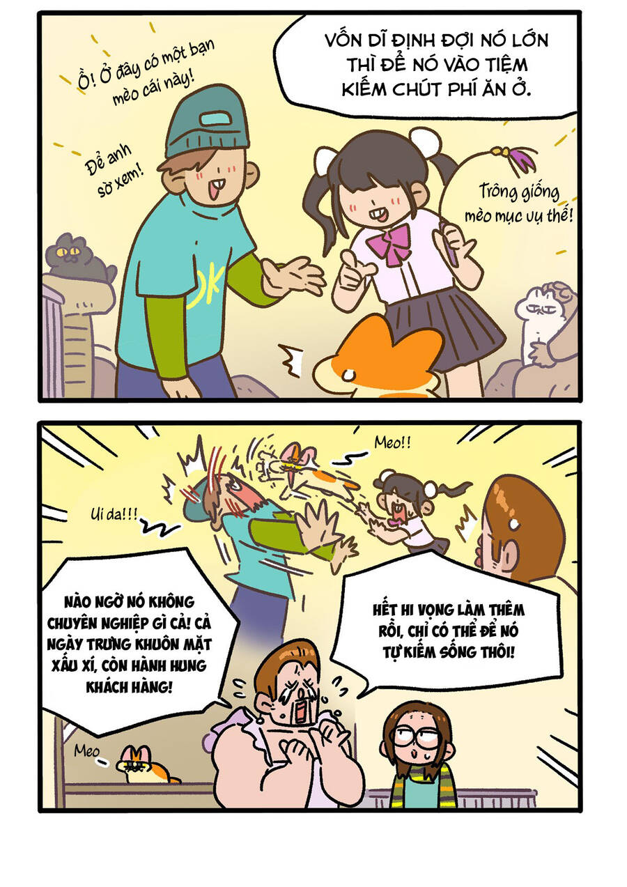 a mãn và mạch trà chapter 142 4