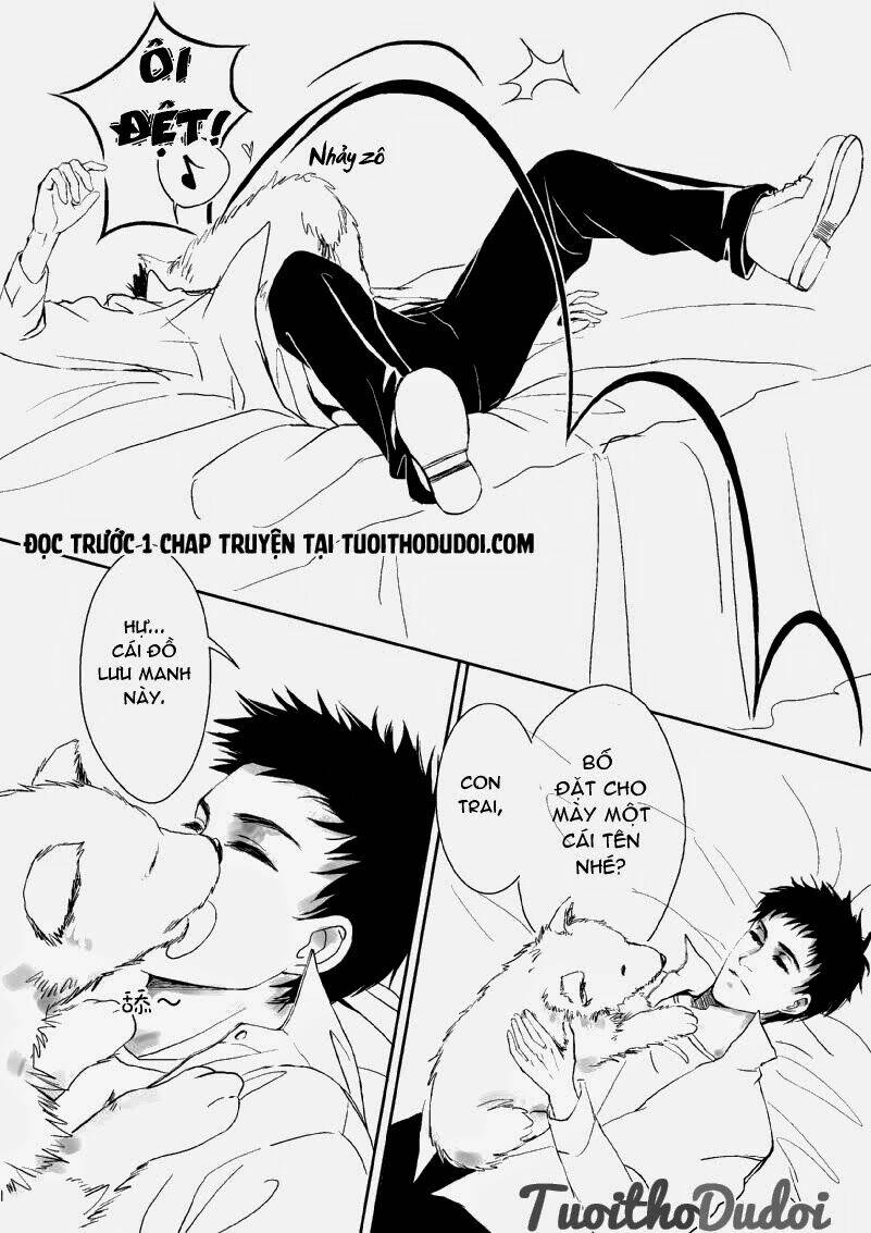 sự mê hoặc của sói chapter 6 7