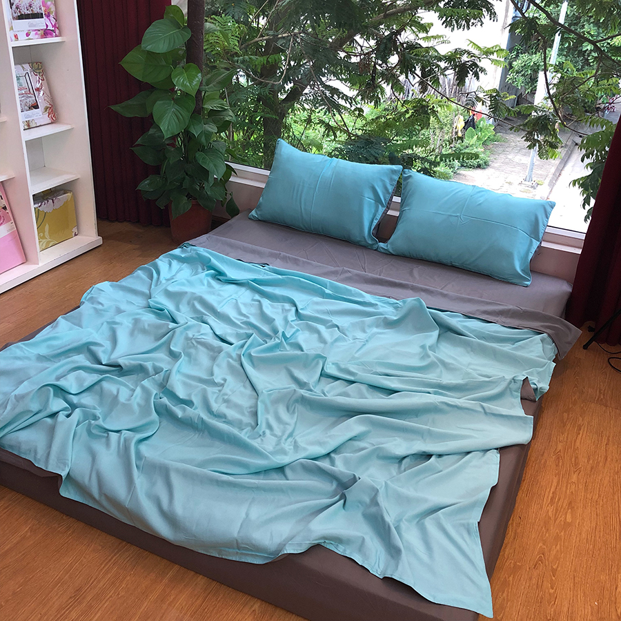 Bộ Chăn Ga Gối Nhập Khẩu Cotton Basic- CB-186