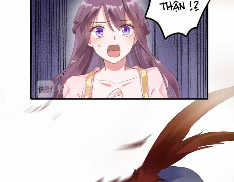 hoa nhan sách chapter 61.1 34