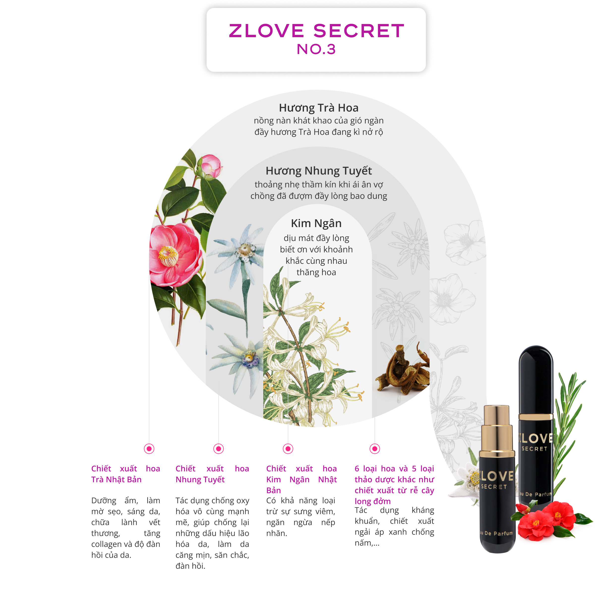 Nước hoa vùng kín nữ cao cấp chính hãng Zlove Secret 5ml với hương hoa mê hoặc, quyến rũ, nữ tính (Hương số 3)