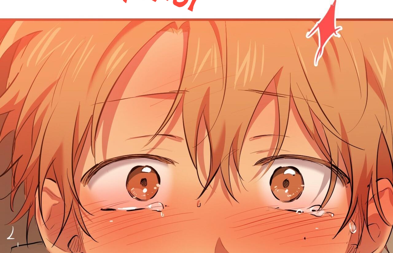 đàn thỏ của habibi chapter 26 14