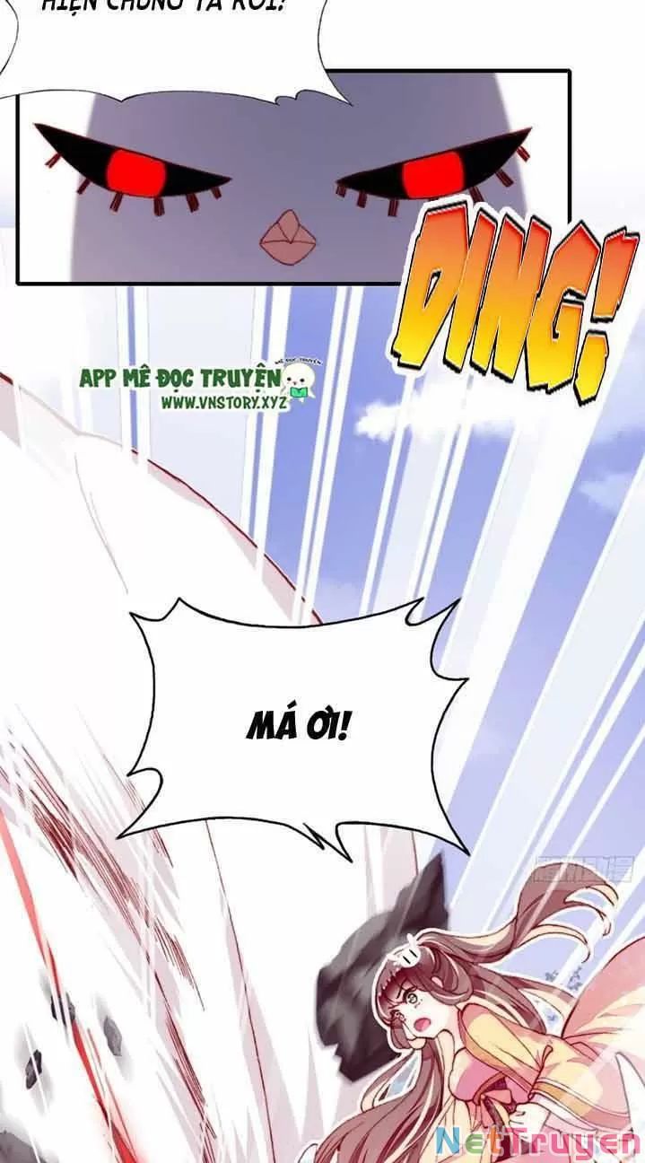 lại bị bệnh chiều chuộng quấn lấy chapter 13 33