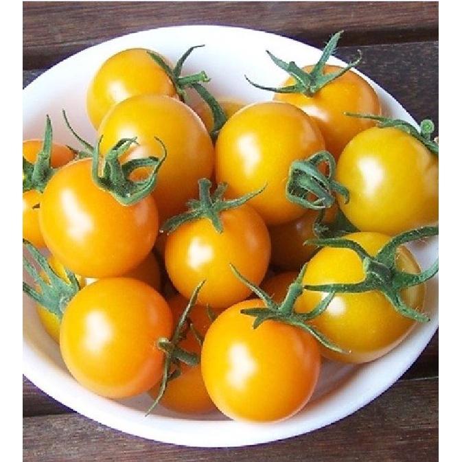 Hạt giống cà chua bi lùn vàng dể trồng f1-gói 20 hạt-tặng kèm gói phân bón lót