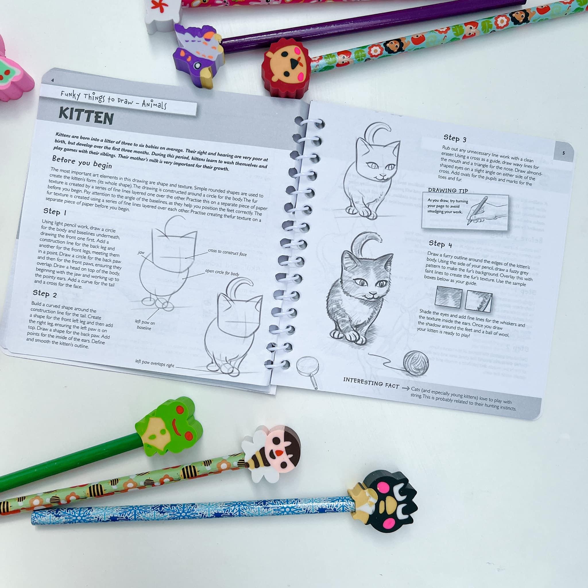 Funky Things to Draw 20 Pencil and Eraser Set Fan (UK)