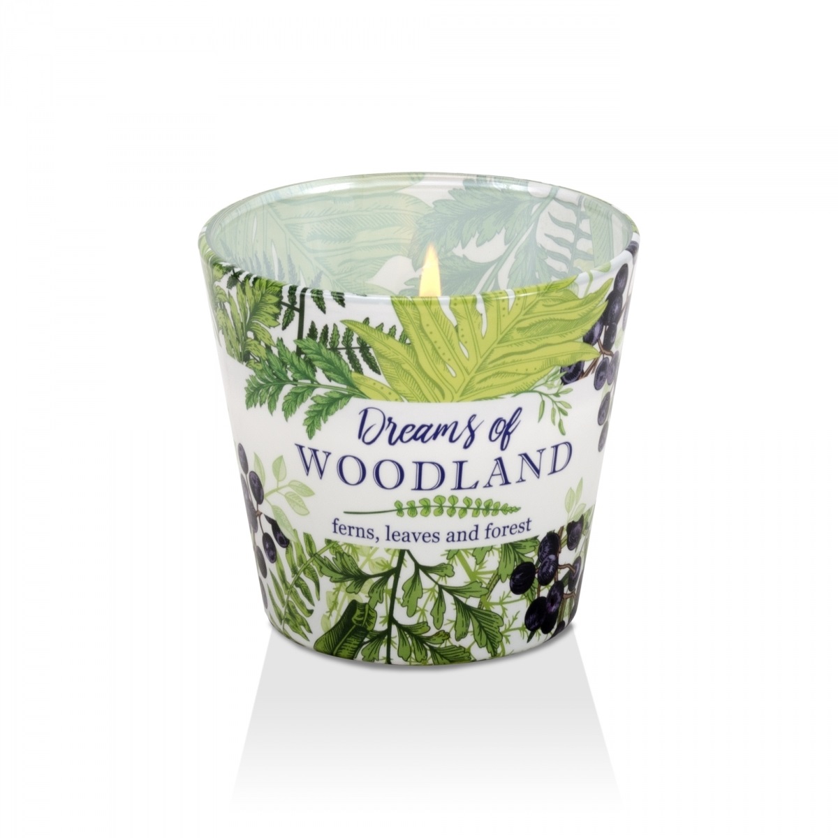 Ly nến thơm Bartek Candles BAT4591 Dream of Woodland 115g (Hương cây dương sỉ)