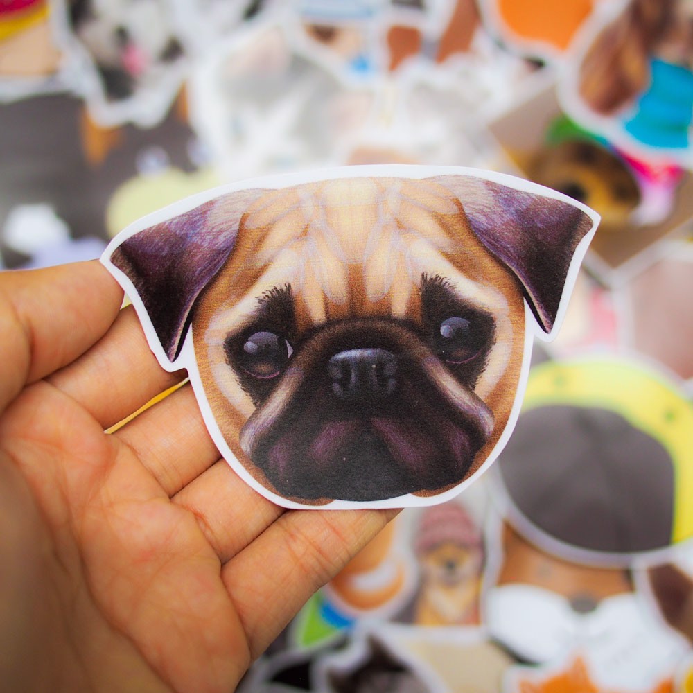 Set 60 Sticker Chó Pug