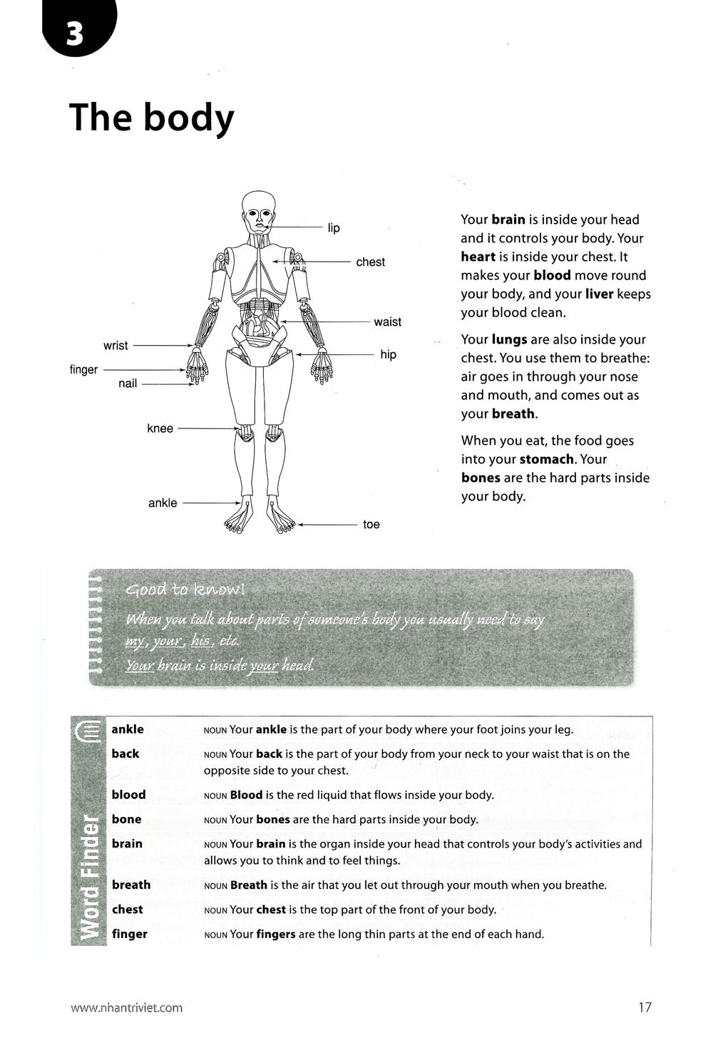 Sách Work On Your Vocabulary A2 - Pre-Intermediate (Tái Bản) - ảnh 10