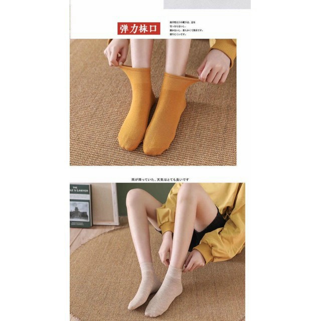 Combo 10 đôi tất nữ muối tiêu