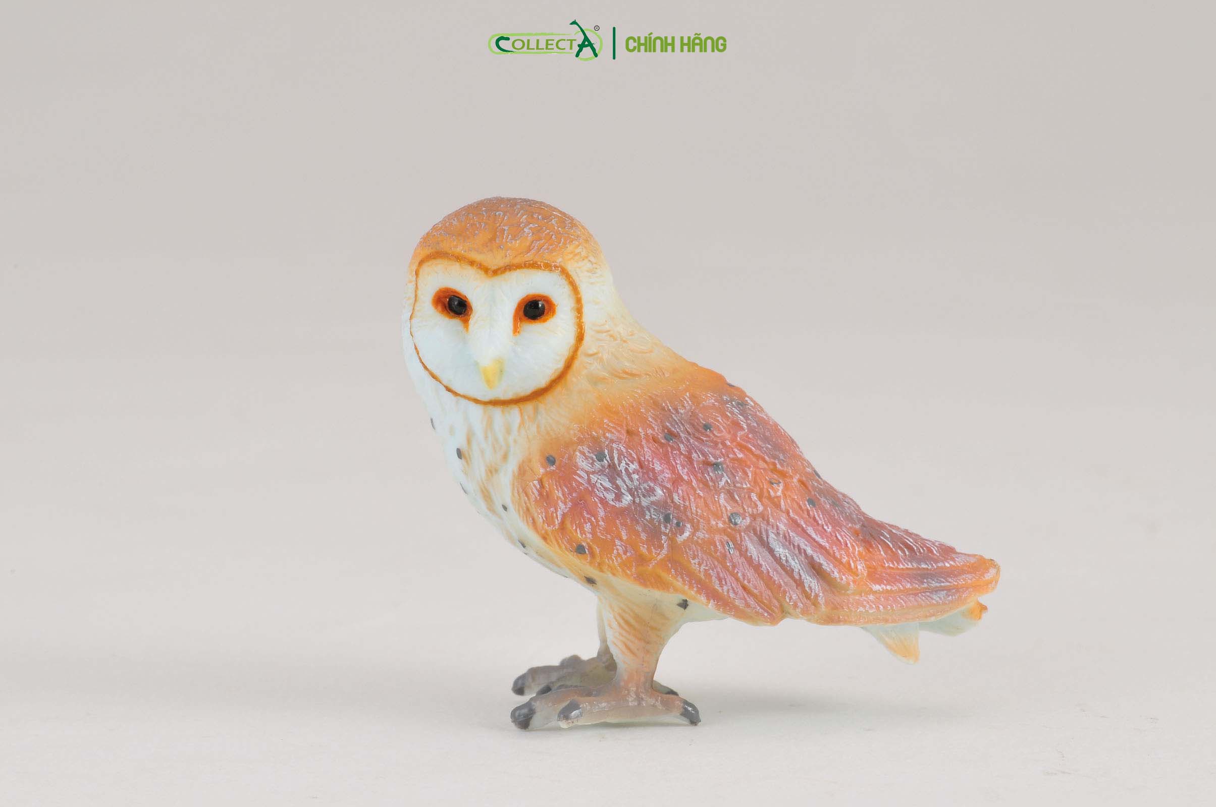 Mô hình thu nhỏ: Cú Lợn Lưng Xám - Barn Owl, hiệu: CollectA, mã HS 9651380[88003] -  Chất liệu an toàn cho trẻ - Hàng chính hãng