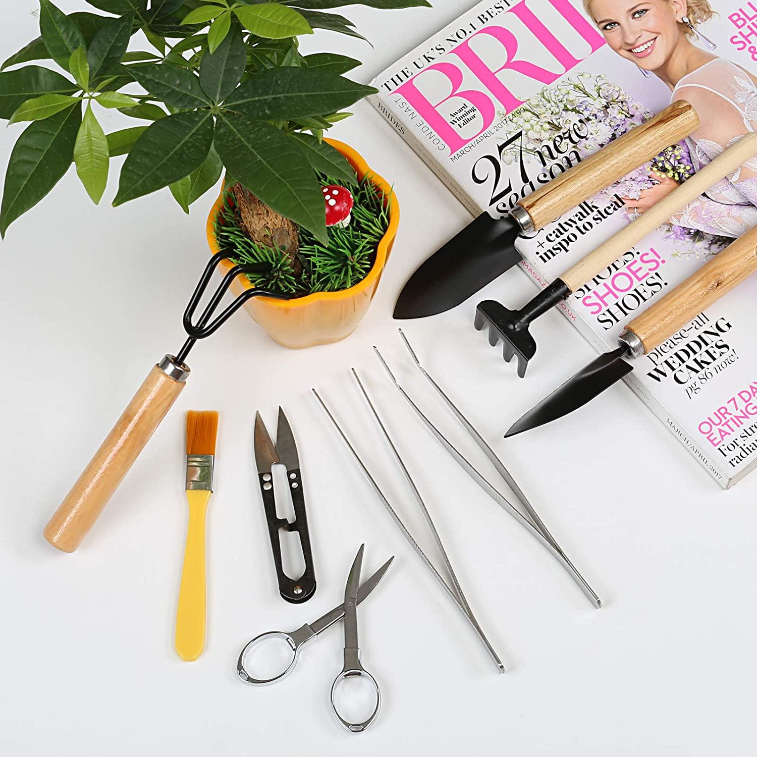 Bộ Dụng Cụ Làm Vườn 10 Mảnh, Dụng Cụ Trồng Cây Xương Rồng Mọc