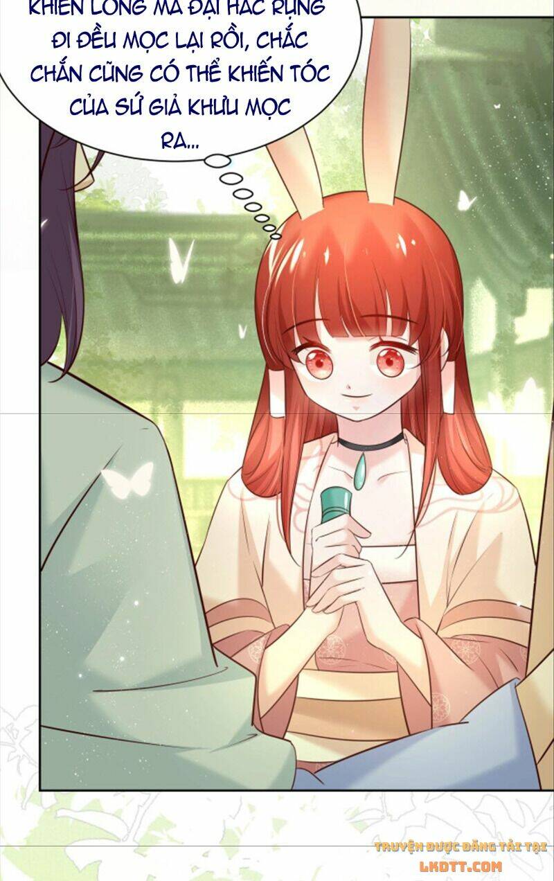 hắc hóa nam chính trực tuyến nuôi thỏ chapter 47 6