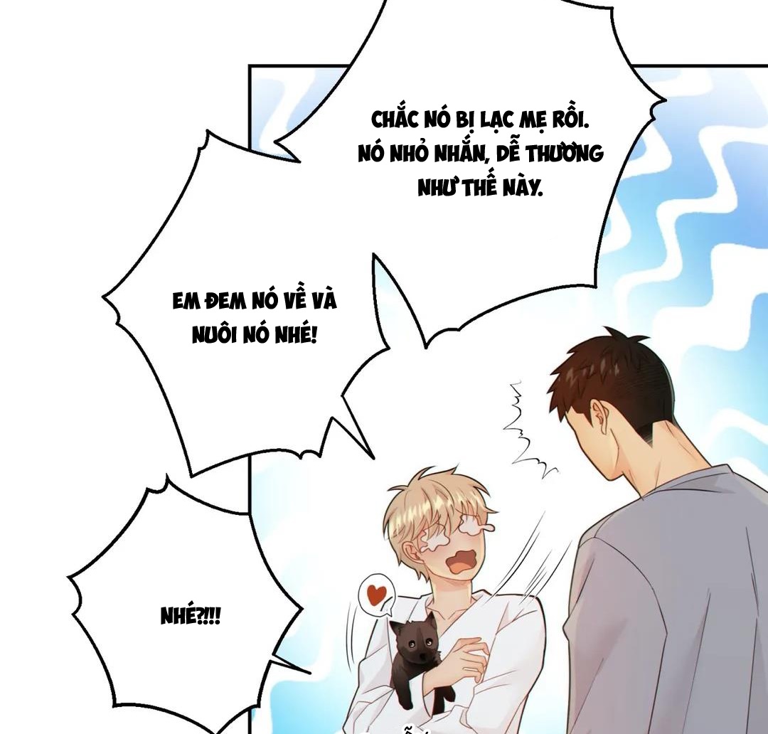 thời gian giữa sói và chó chapter 49 22