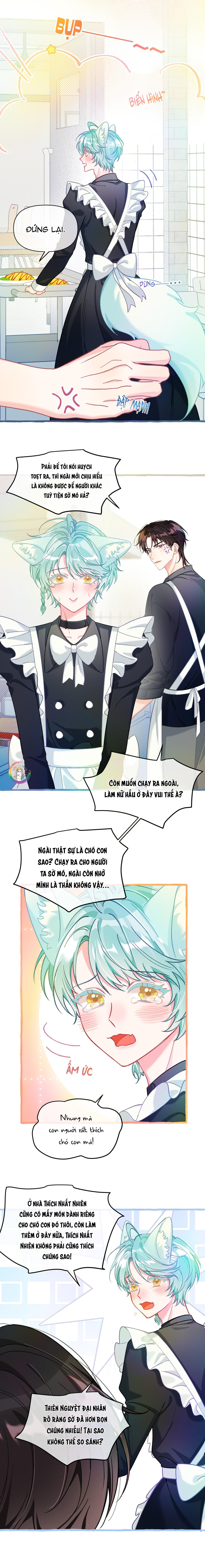 hồ ly hay là "hồ dán" vậy? chapter 24 3