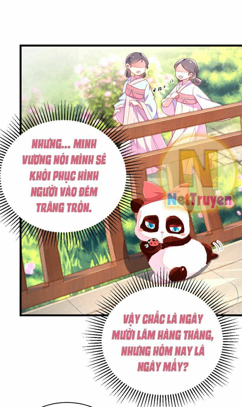 thiên thần gấu trúc muốn được ôm chapter 23 12