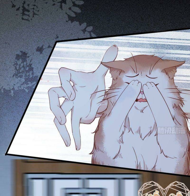 sát thủ vương phi không dễ chọc chapter 37 42