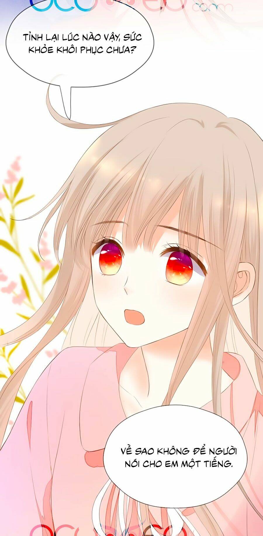 đóa hoa chớm nở chapter 75 19