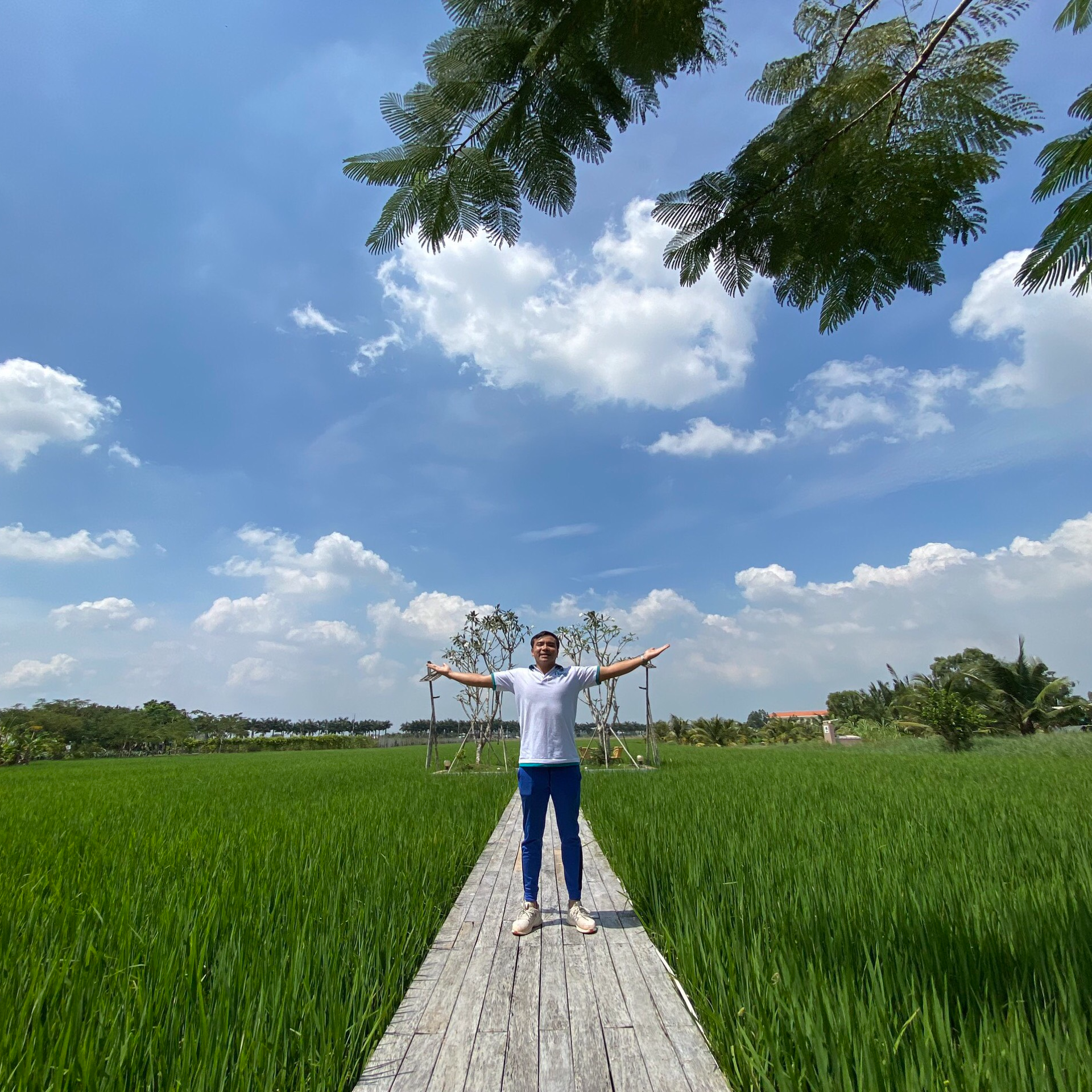 Cánh Đồng Bất Tận - Làng Nổi Tân Lập - Tân Trụ, Xứ Tràm Thơm