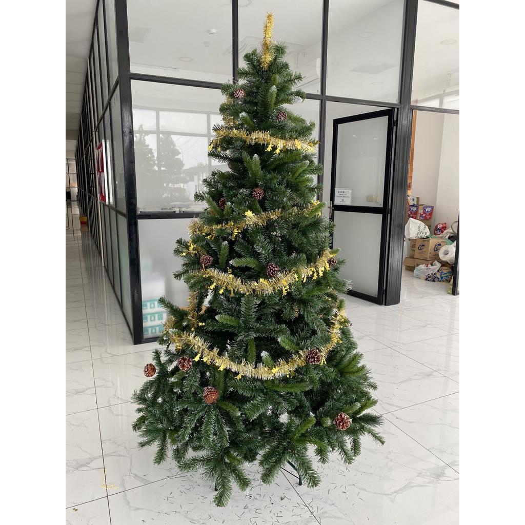 Cây thông noel 3 loại lá gắn trái thông cao 1m8 - Cây loại cao cấp tán dày