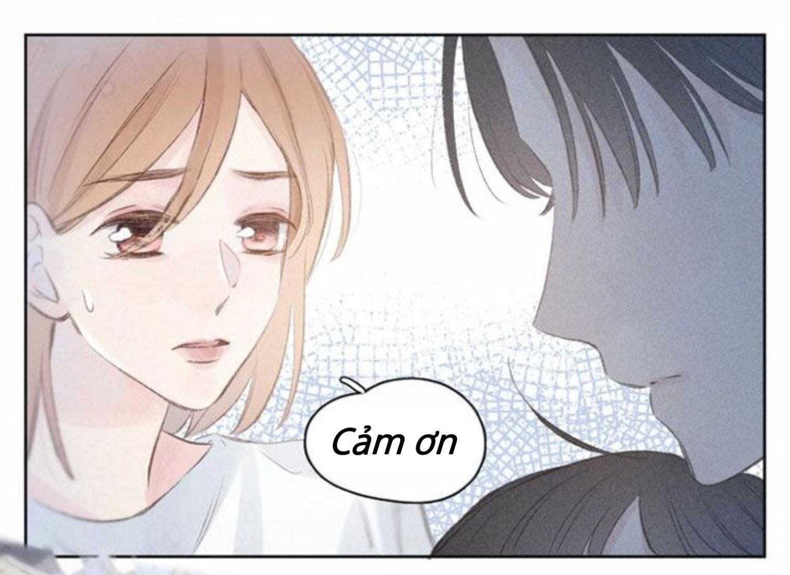 nỗi buồn của hoa cẩm tú cầu chapter 9 15