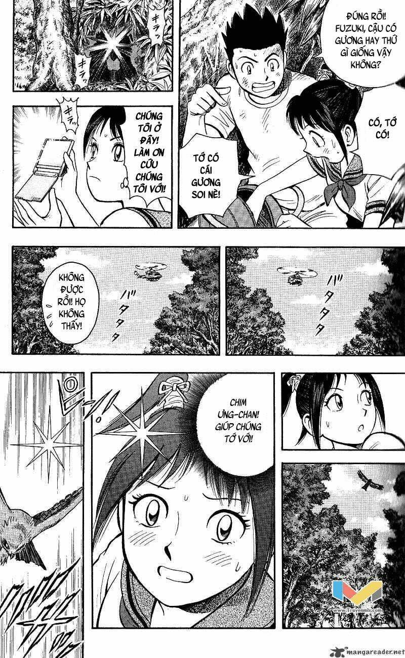 animal sense chapter 11 13