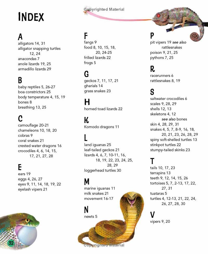 Sách ngoại văn: I Wonder Why Snakes Shed Their Skin