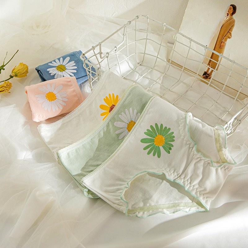 Quần Lót Nữ Cotton Cúc Họa Mi Thời Trang Ngang Eo . Hàng Loại Đẹp.