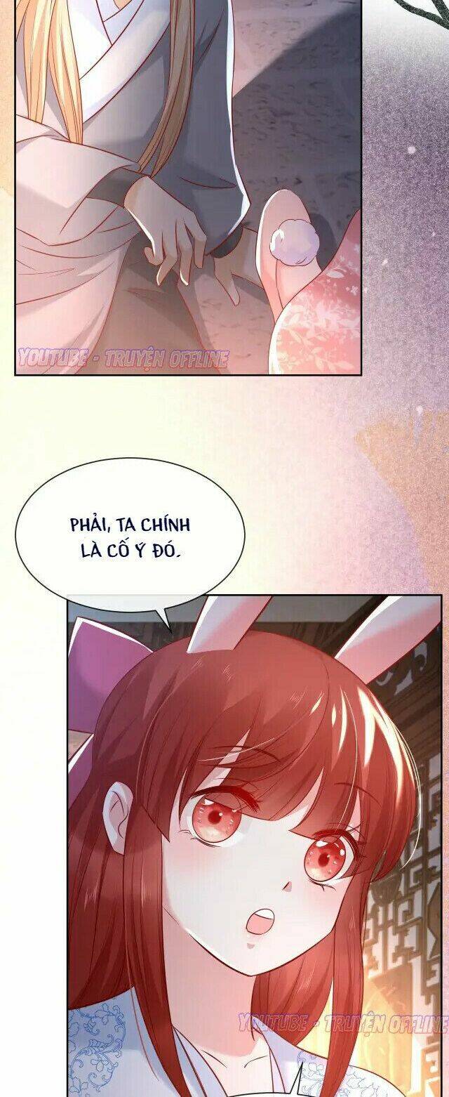 hắc hóa nam chính trực tuyến nuôi thỏ chapter 27 10