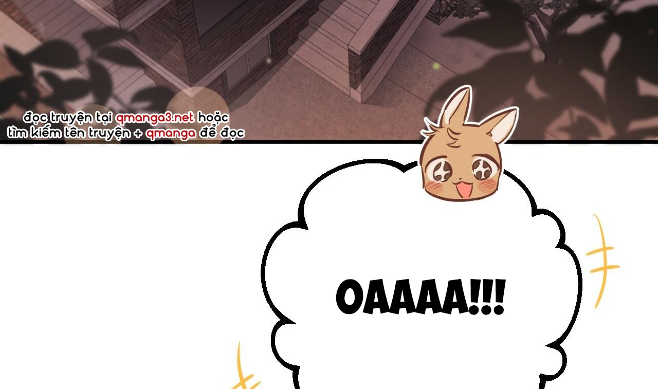 đàn thỏ của habibi chapter 51 248