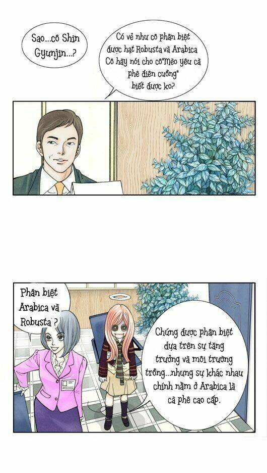 crazy coffee cat chapter 1 22