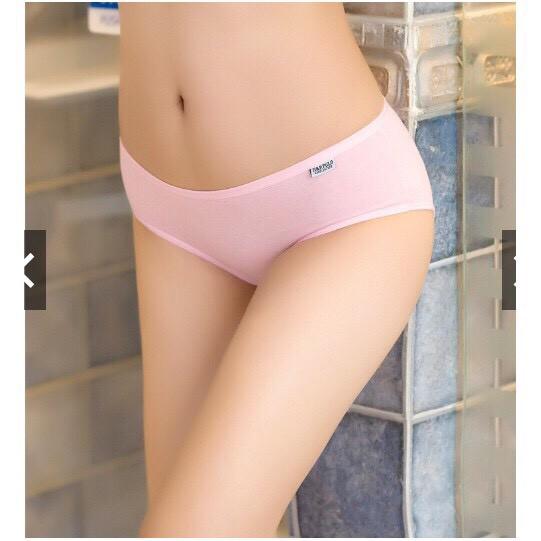 Combo 10 Quần Lót Cotton Pulo Xuất Mỹ