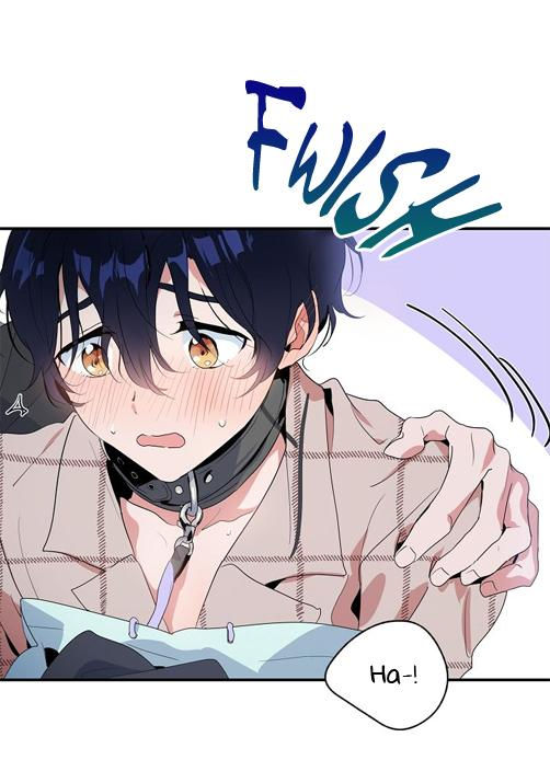 tình yêu cún con chapter 8.1 27