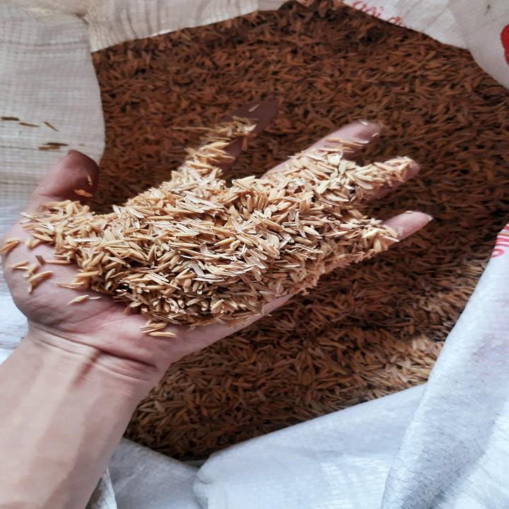VỎ TRẤU TƯƠI TRỒNG LAN, TRỒNG CÂY, LÓT CHUỒNG GÓI 500G