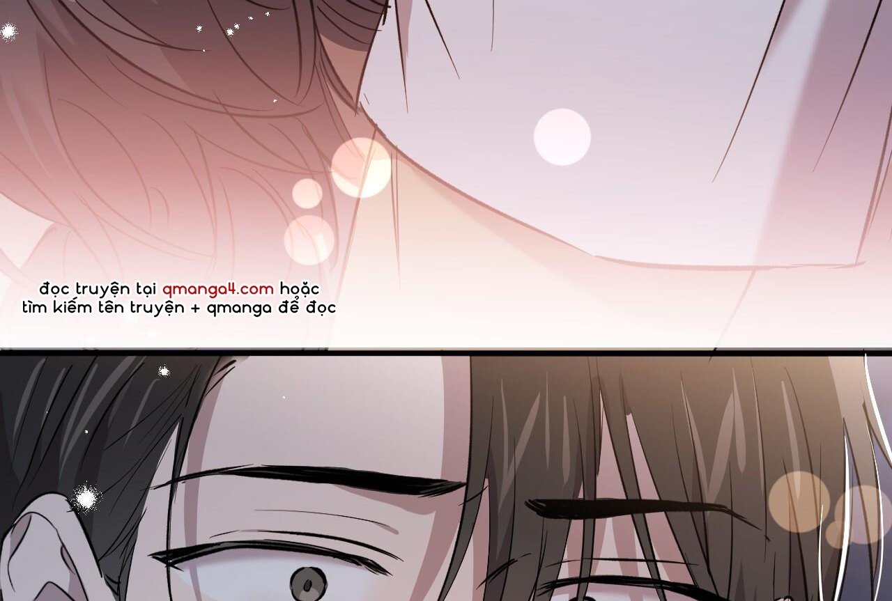 những chú thỏ của hapypy chapter 58 247