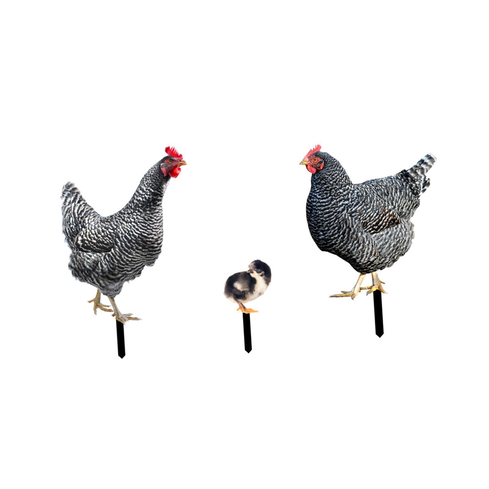 3 Pieces Chicken Animal Statue Animal Shaped Yard Stake for Pathway Decor