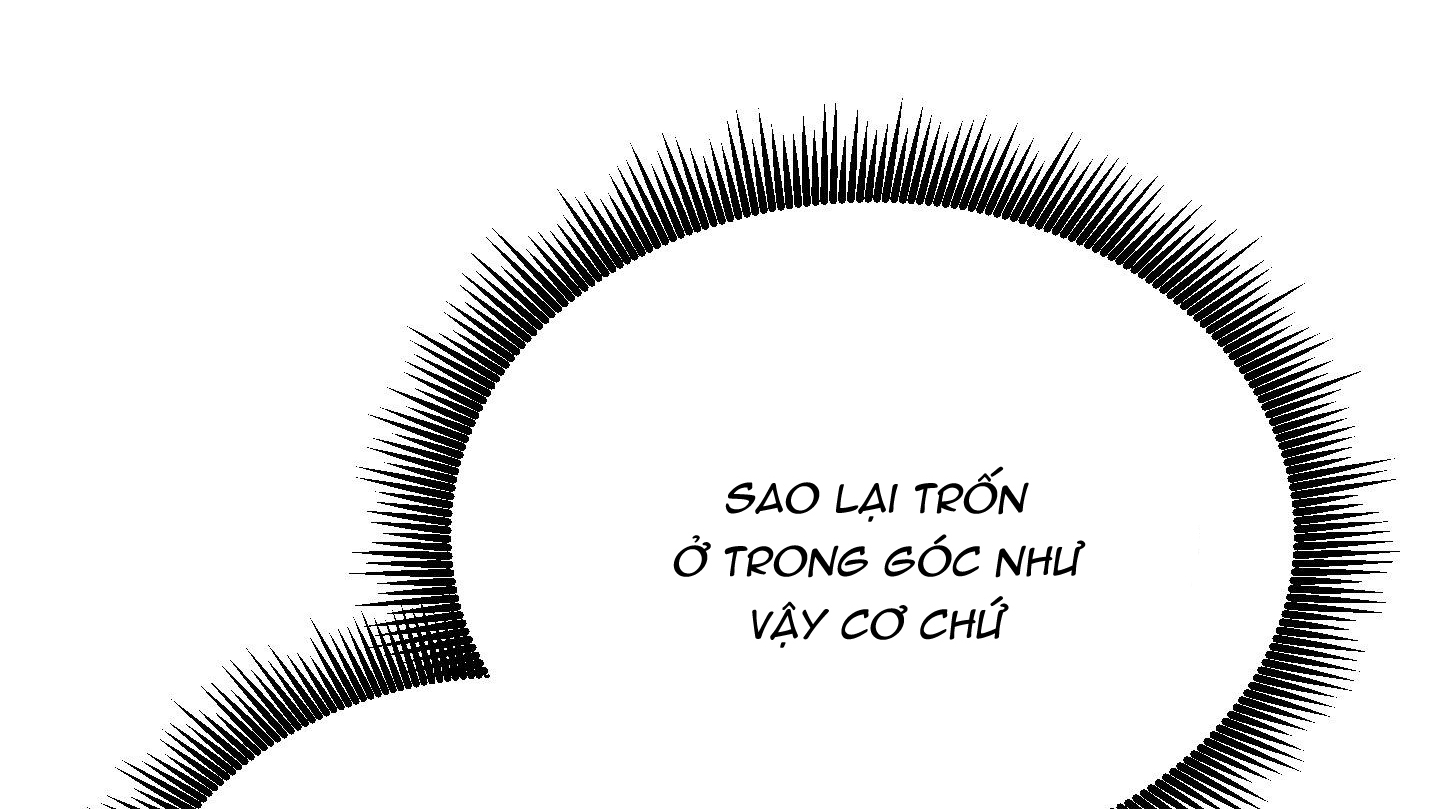 lãng mạn giả dối chapter 19 212